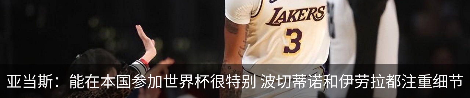最新动态