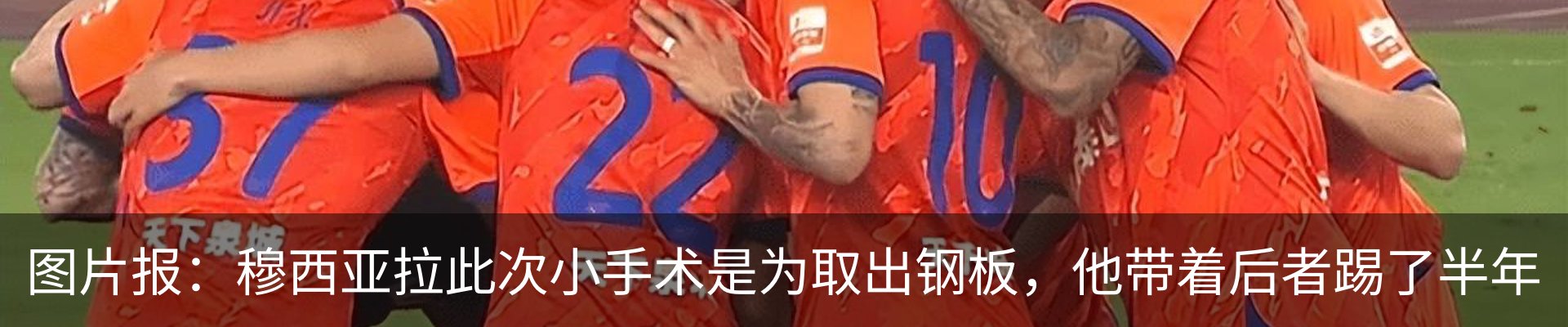 最新动态