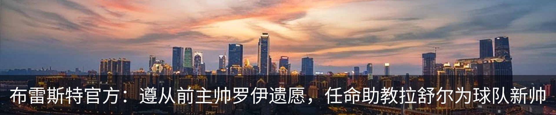 最新动态