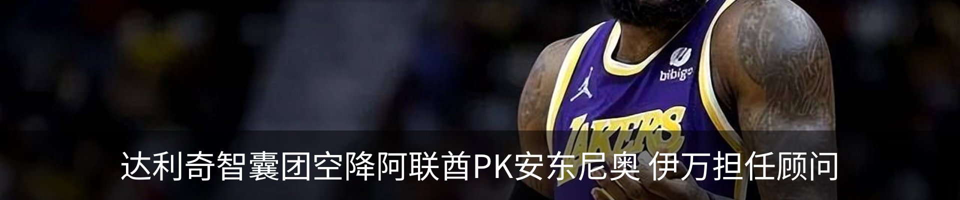 最新动态