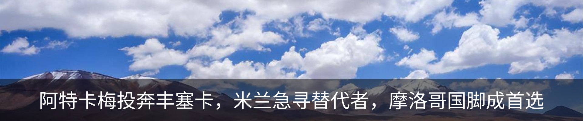 最新动态