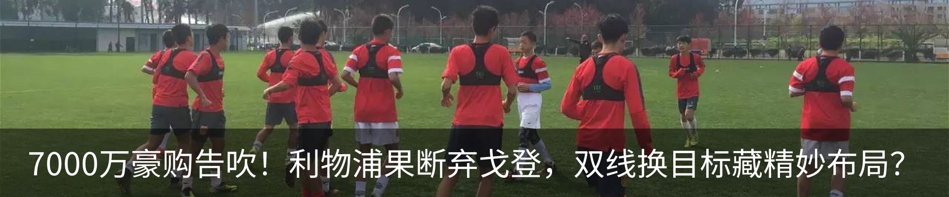 最新动态