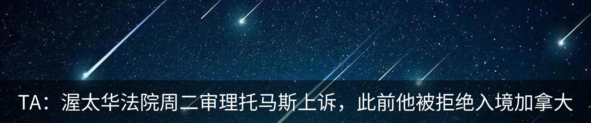 最新动态
